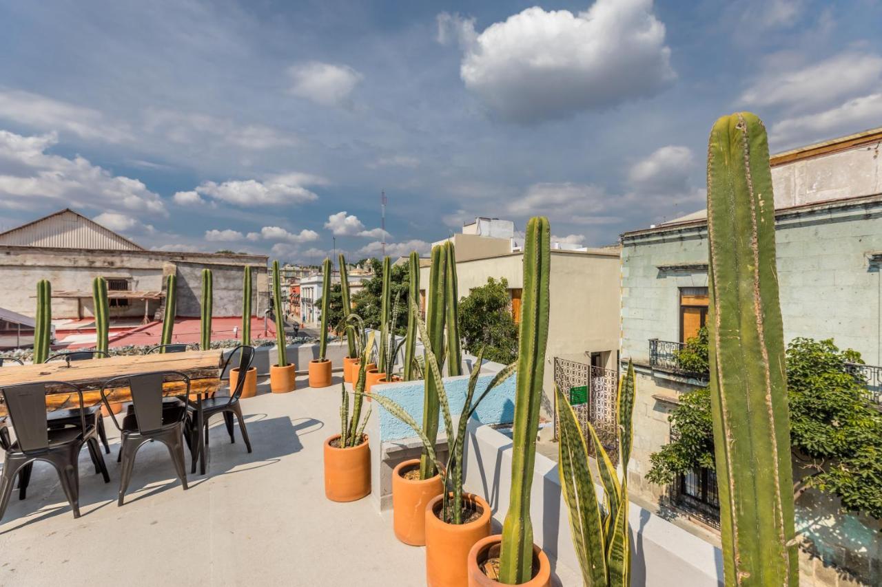 Casa Olie 3*